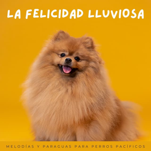 La Felicidad Lluviosa: Melodías Y Paraguas Para Perros Pacíficos - Triste chico LoFi