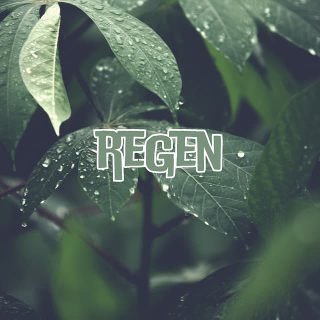 Naturalize - Regengeräusche