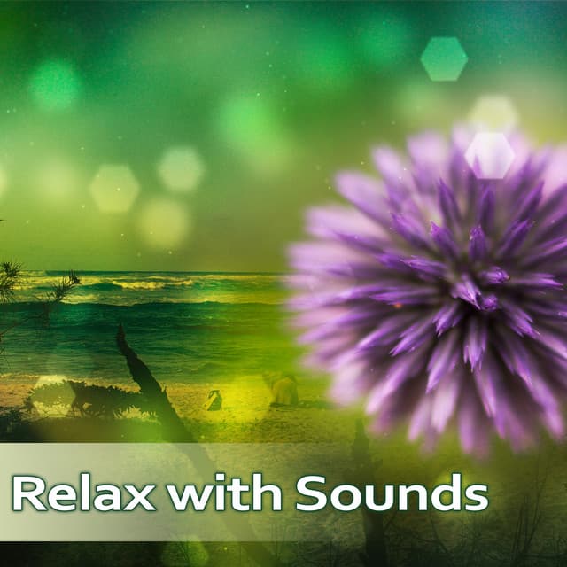 Relax with Sounds - Relaxing Sounds, Rest of Nature, Help Nature, Bird Singing, Feeling of Spring - Relaxing Sounds Of Nature