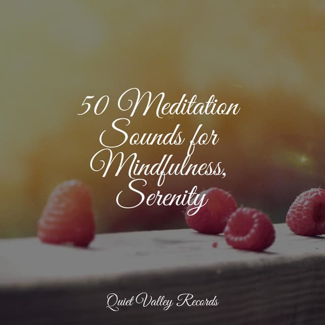 50 Meditation Sounds for Mindfulness, Serenity - Heavy Rain Sounds