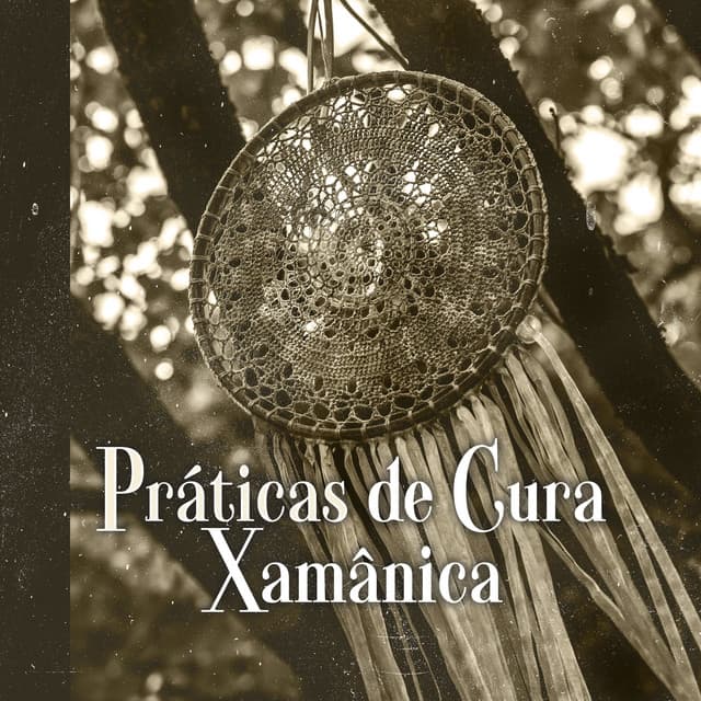 Práticas de Cura Xamânica - Meditation Group