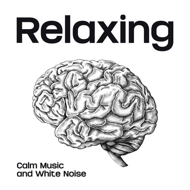 Relaxing Calm Music and White Noise During Intensive Study - White Noise Universe