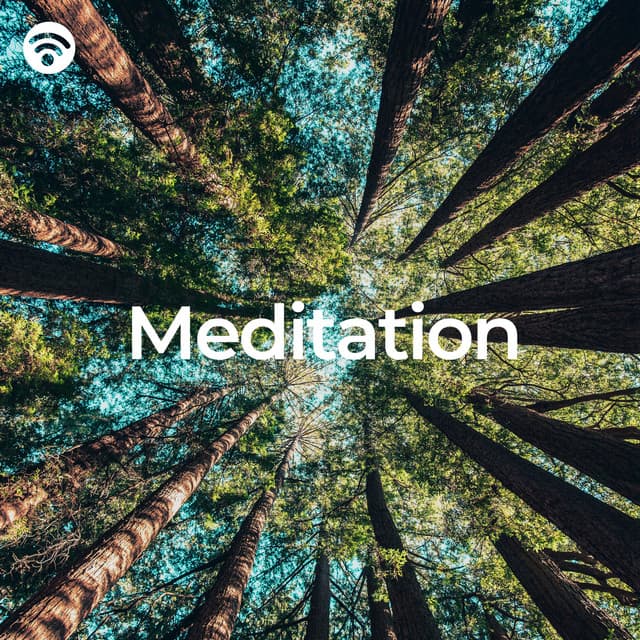 Meditation: Forest Sounds - Meditaciones