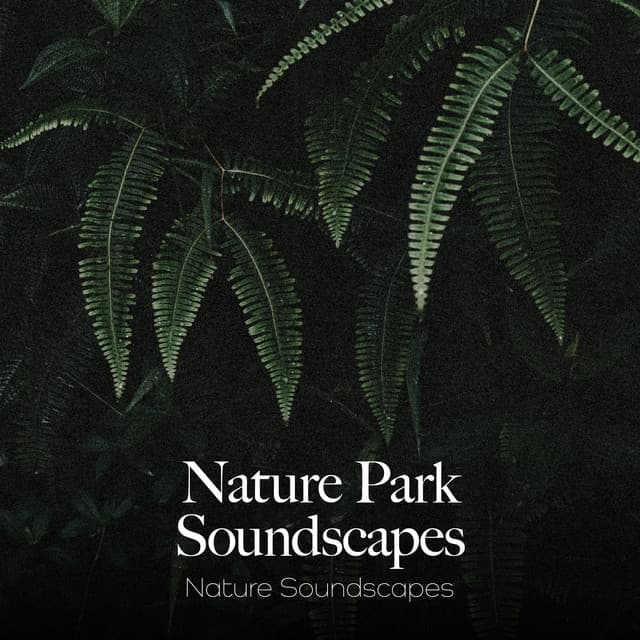 Nature Park Soundscapes - The Nature Soundscapes