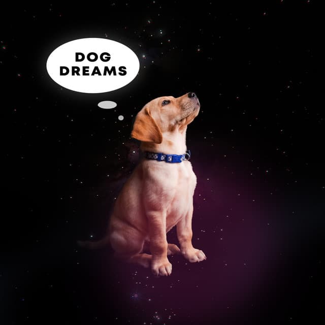 Dog Dreams - Dog Music Dreams