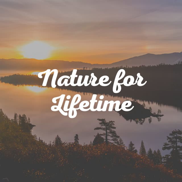 Nature for Lifetime - Sounds of Nature White Noise Sound Effects