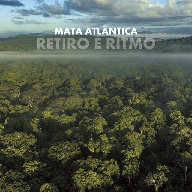 Retiro e Ritmo - Mata Atlântica