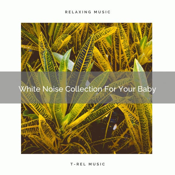 White Noise Collection For Your Baby - Brown Noise Therapy / Baby White Noise