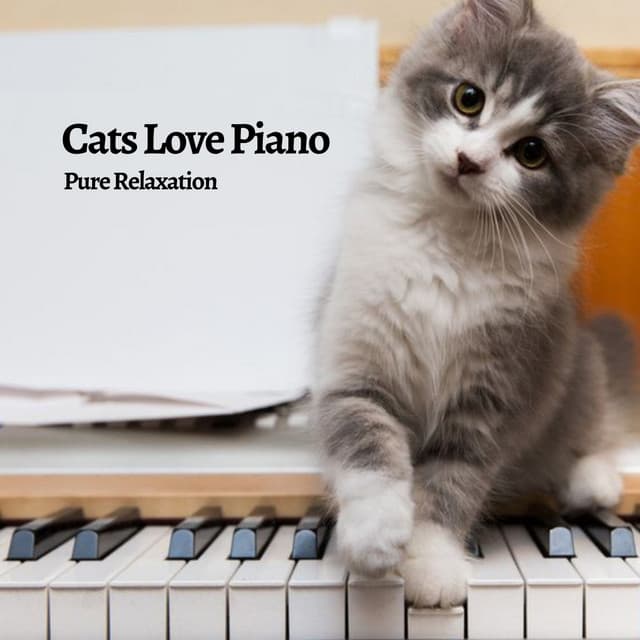 Piano for cats