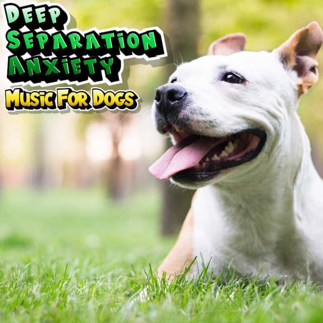Calming Dog Music For Separation Anxiety - Playlist For Dog Relaxation - Deep Separation Anxiety Music For Dogs