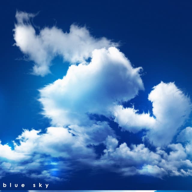 Big Sky - Rain Recorders