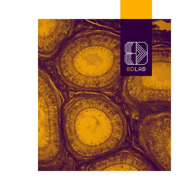 8D Lab - Meditation Music