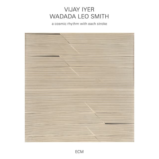 A Cosmic Rhythm With Each Stroke - Vijay Iyer