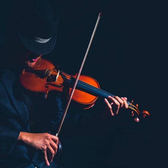 Peaceful Orchestra for Pet Stress Relief - Charles Anderson