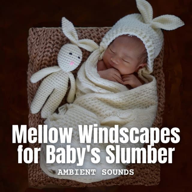 Ambient Sounds: Mellow Windscapes for Baby's Slumber - Epic Soundscapes