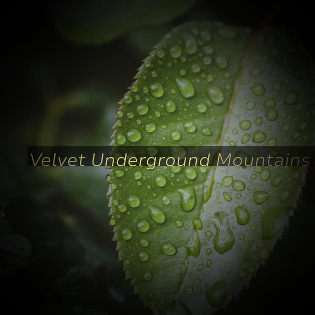 Velvet Underground Mountains - Minds United