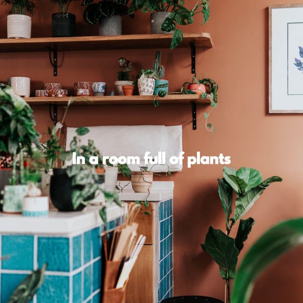 In a room full of plants - Cafe de Musica Instrumental