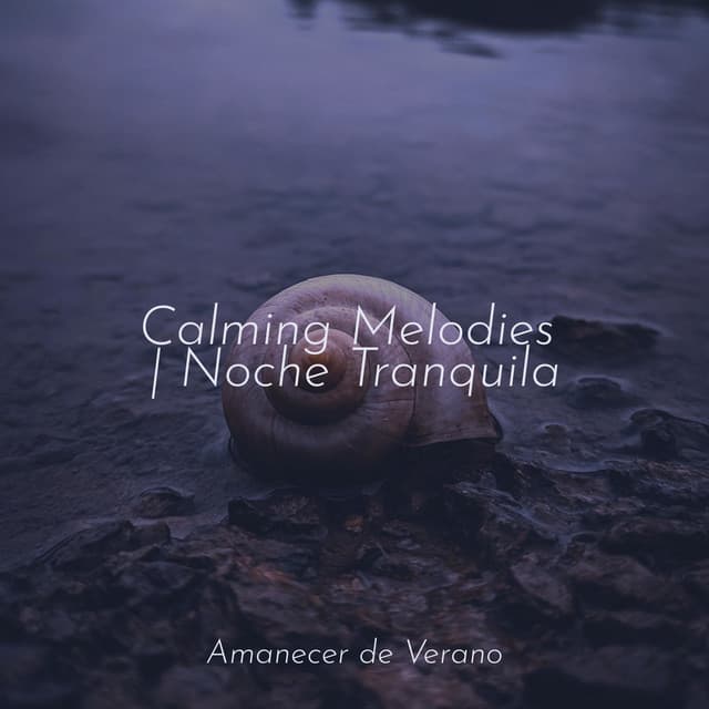 Calming Melodies | Noche Tranquila - Nature Sounds Nature Music