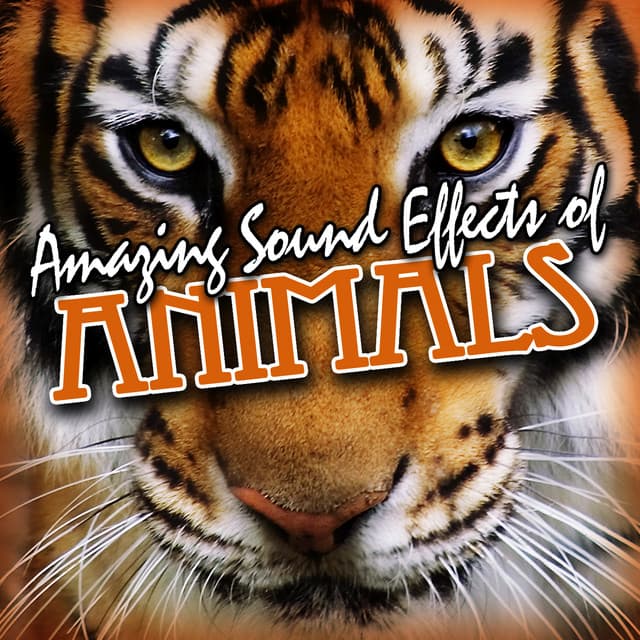 Amazing Sound Effects of Animals - Sound FX