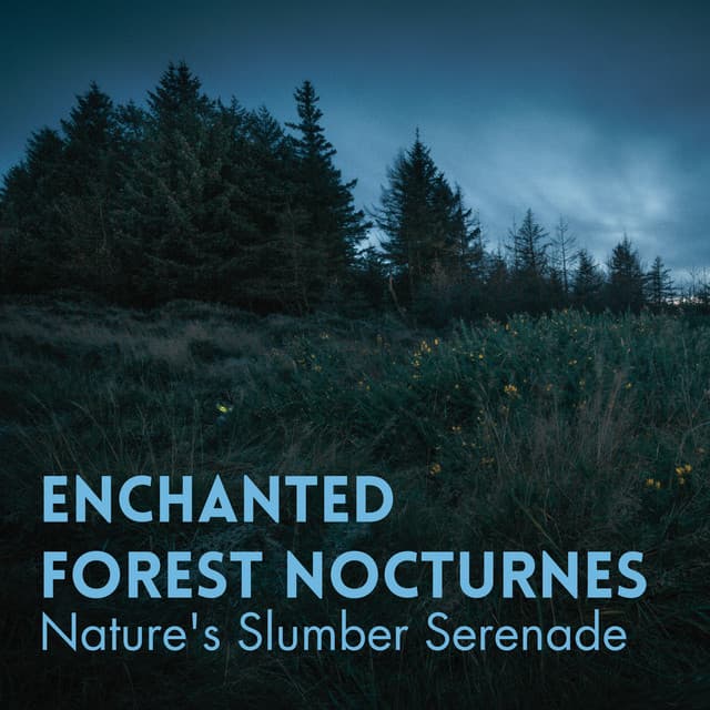 Enchanted Forest Nocturnes: Nature's Slumber Serenade - Forest Dreams