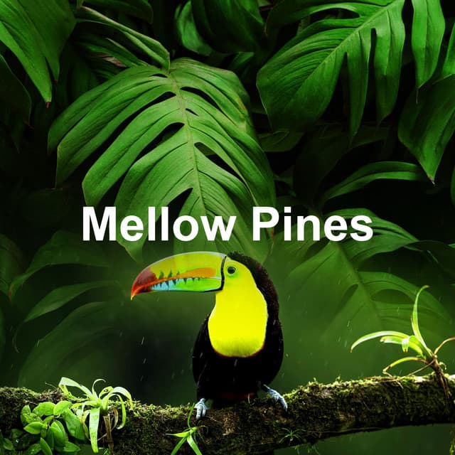 Mellow Pines - LBE Nature Recordings