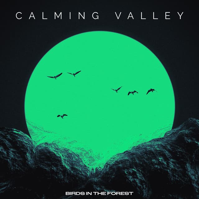 Calming Valley - Birds In The Forest