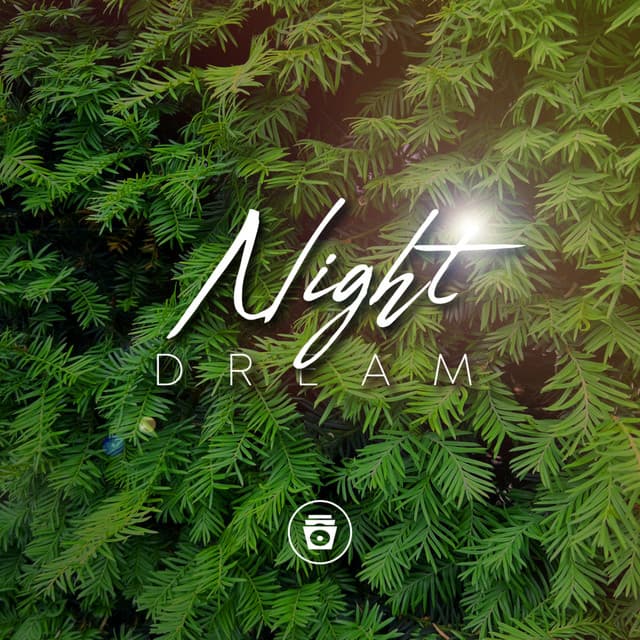 Night Dream - ASMR Earth