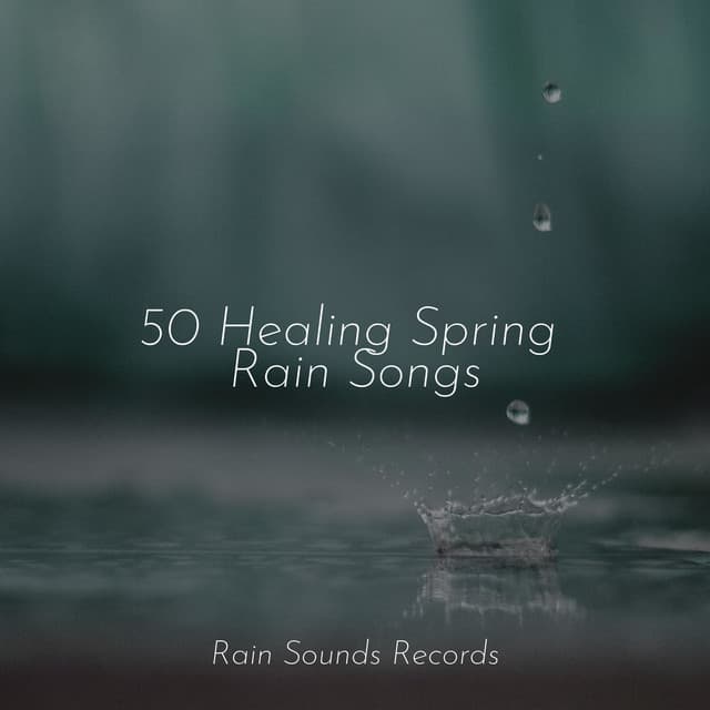 50 Healing Spring Rain Songs - Sons da natureza HD