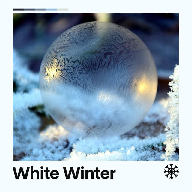White Winter - White Noise