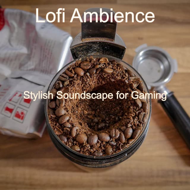 Stylish Soundscape for Gaming - Lofi Ambience