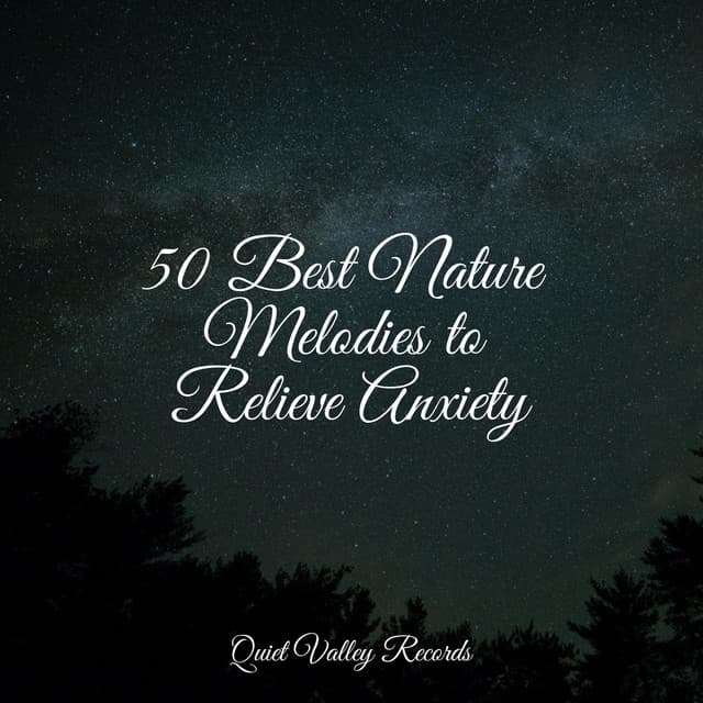 50 Best Nature Melodies to Relieve Anxiety - Saludo al Sol Sonido Relajante