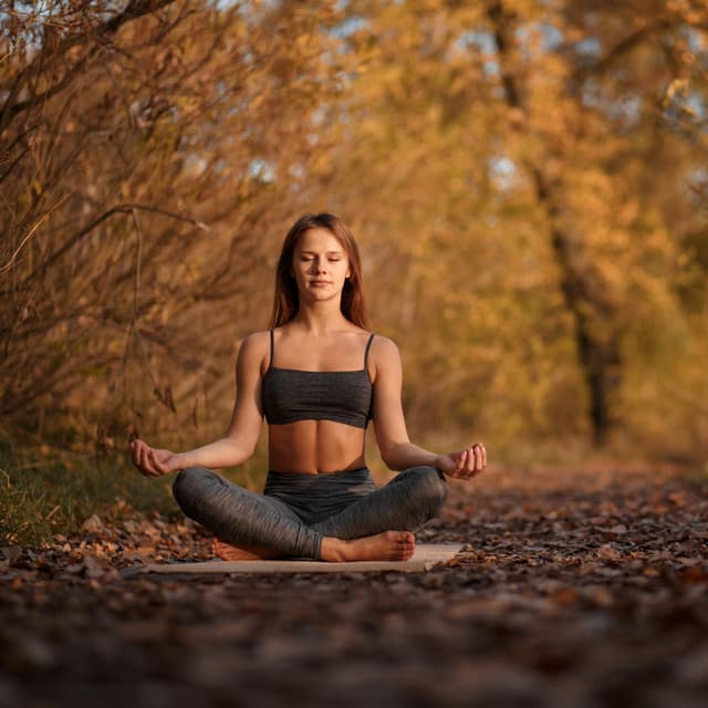 Lofi Meditation Flow for Clarity - master lofi beats