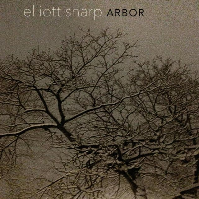 Arbor - Elliott Sharp