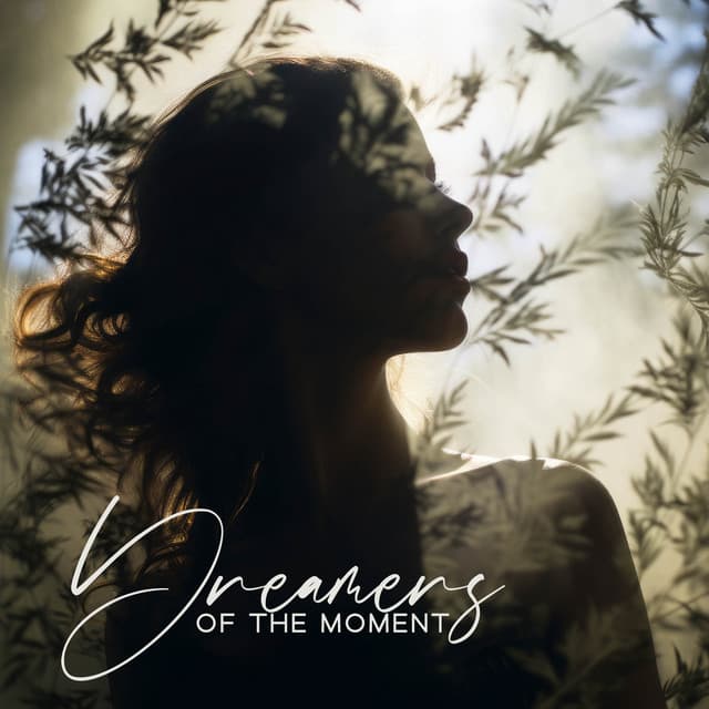 Dreamers of the Moment: Get Lost in Dreams, Dissolve Stress, Leave Negativity Behind - Dreamer Chill Out Sanctuary