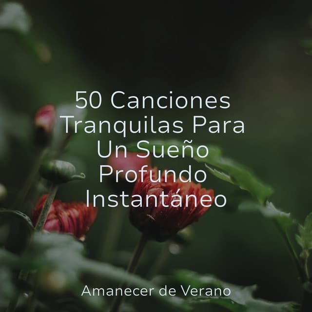 50 Canciones Tranquilas Para Un Sueño Profundo Instantáneo - Meditación Interna