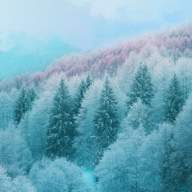 Frosted Forest: Winter Woods Ambience and Snowfall Sounds for Mindful Relaxation - Jonathan Mare