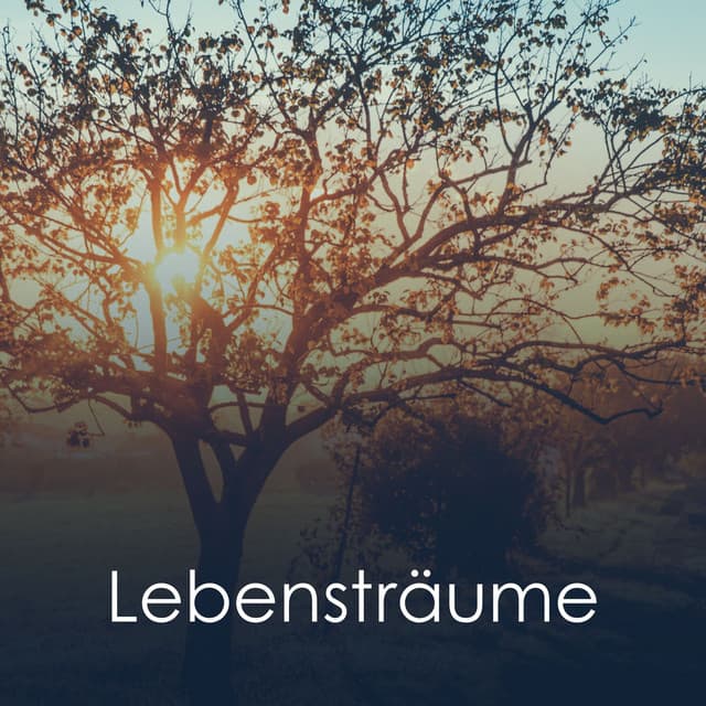 Lebensträume - Schlaf Hilfe