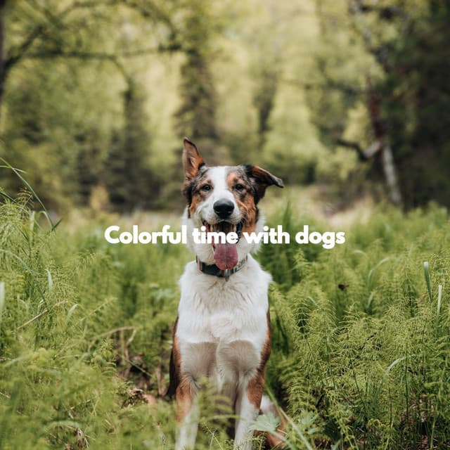 Colorful time with dogs - Puppy Music