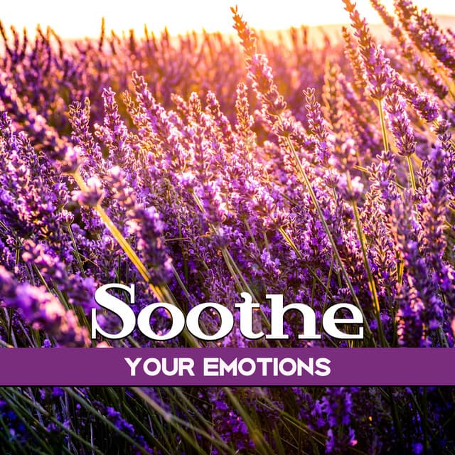 Soothe Your Emotions - Emotional Well Being Collection