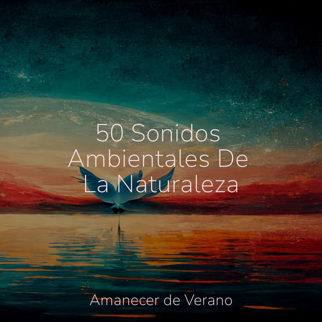 50 Sonidos Ambientales De La Naturaleza - Sonido de lluvia
