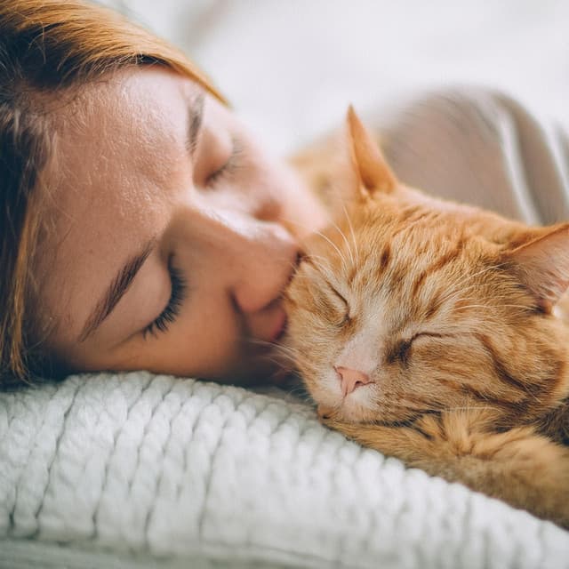 Canciones De Cuna Nocturnas Para Mascotas Dormidas - Investigación de sonidos de la naturaleza