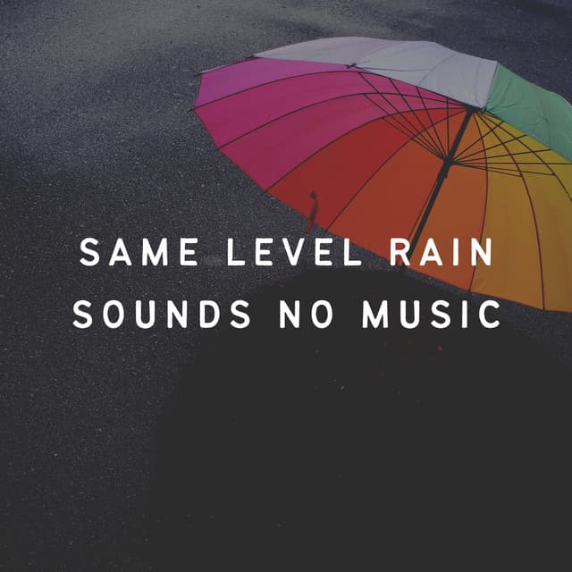 Same Level Rain Sounds No Music - Rain Relaxation