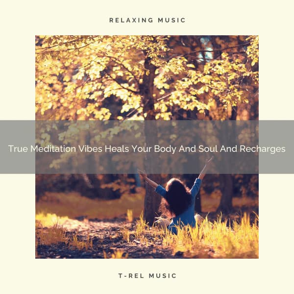 True Meditation Vibes Heals Your Body And Soul And Recharges - Perfect Meditation