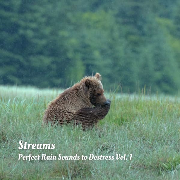 Streams: Perfect Rain Sounds to Destress Vol. 1 - Relaxing Jazz Nights