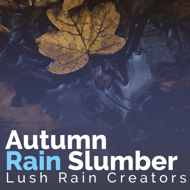 Autumn Rain Slumber - Lush Rain Creators