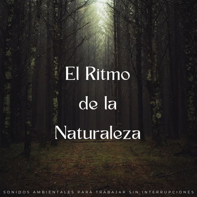 El Ritmo De La Naturaleza: Sonidos Ambientales Para Trabajar Sin Interrupciones - Música de Trabajo Clasico