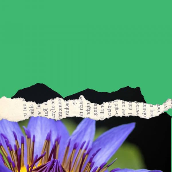 Personal Wellness - Peaceful - Smooth Dinner Music