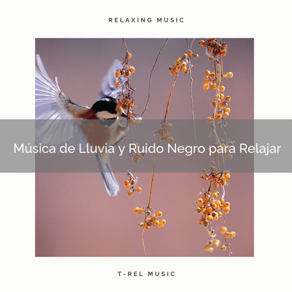 Música de Lluvia y Ruido Negro para Relajar - Ruido Blanco Para Estudiar