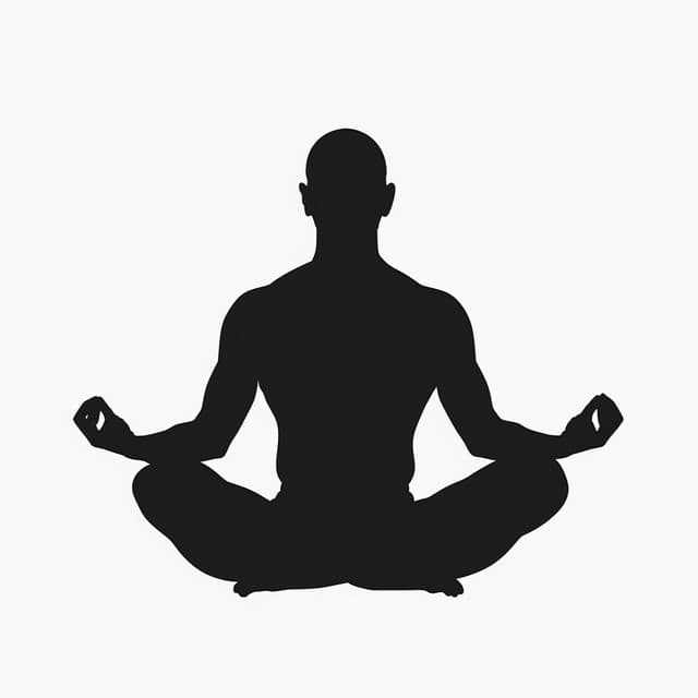 Sinfonía De Sincronización Respiratoria: Melodías De Relajación De Yoga - Lista de reproducción de yoga