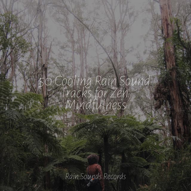 50 Cooling Rain Sound Tracks for Zen Mindfulness - Cascada de Lluvia